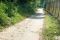 IMG-1cd0e7e25898d22fdfba238512c54442-V